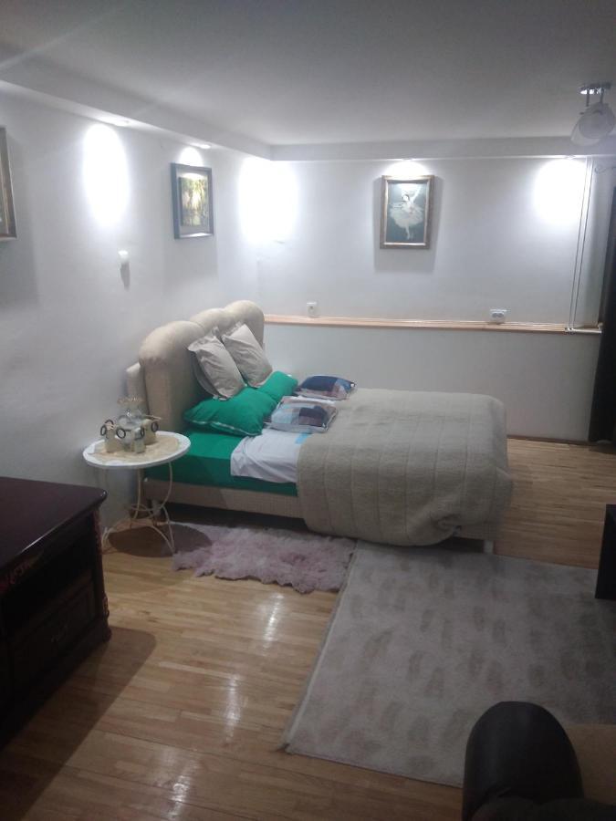 Goksi Apartment Subotica Exteriér fotografie